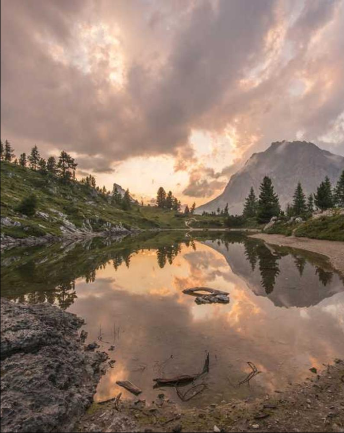 HavenBloom App Interface